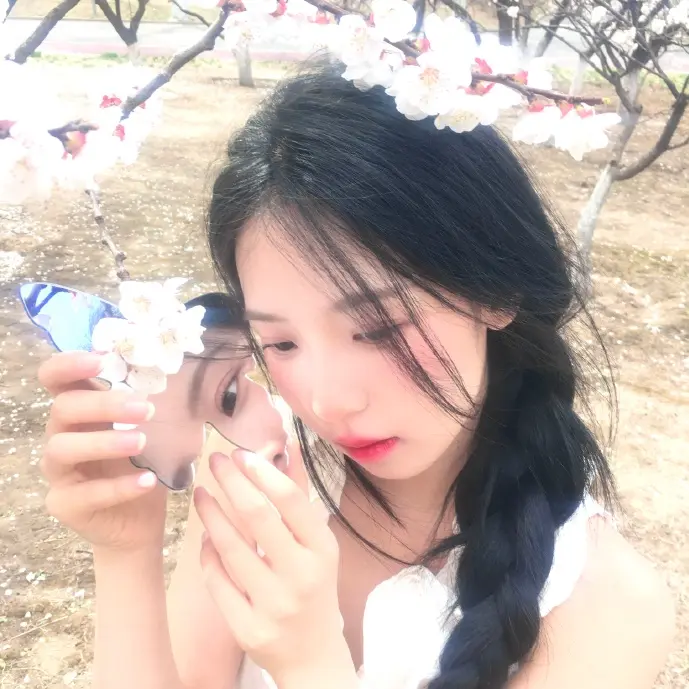 动漫下载数据对比